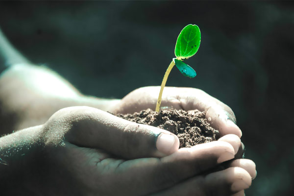 以振興民族工業(yè)為己任